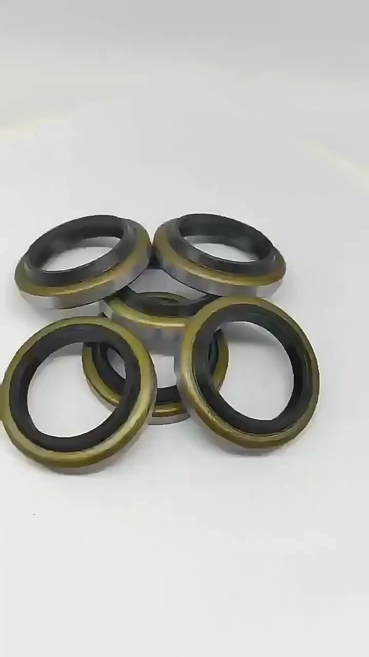 DKBI/ DKB seal kits for hydraulic cylinder excavator seal kit 1