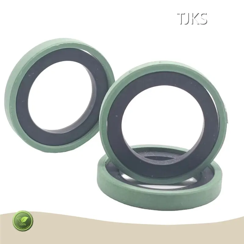 Hydraulic Cylinder Seals SPG/SPGA by TJKS 1