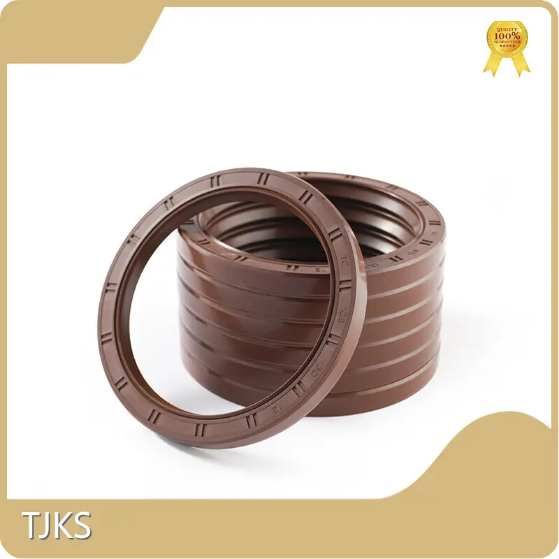 Oil Seal Types Standard Size and Customized Size - - TJKS 1