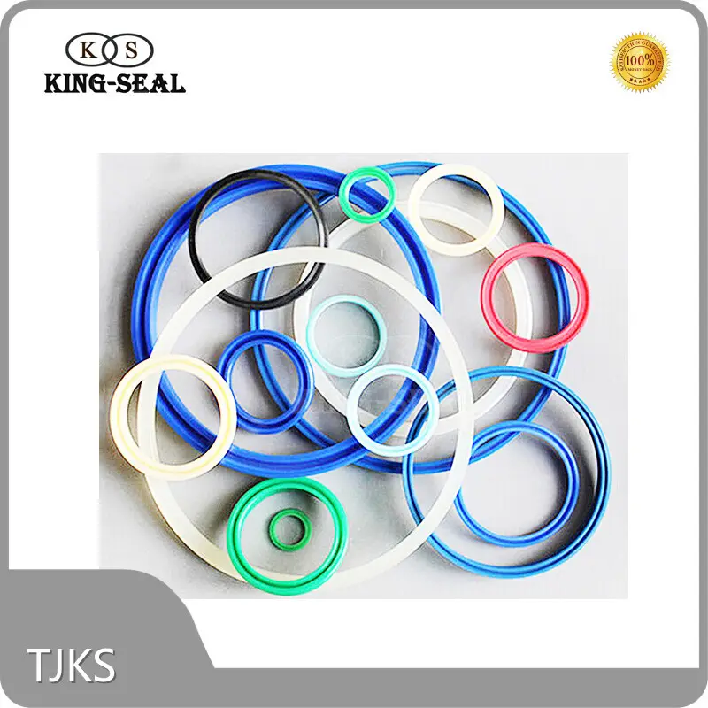 Oring Supplier Duo Cone Seal - - TJKS 1