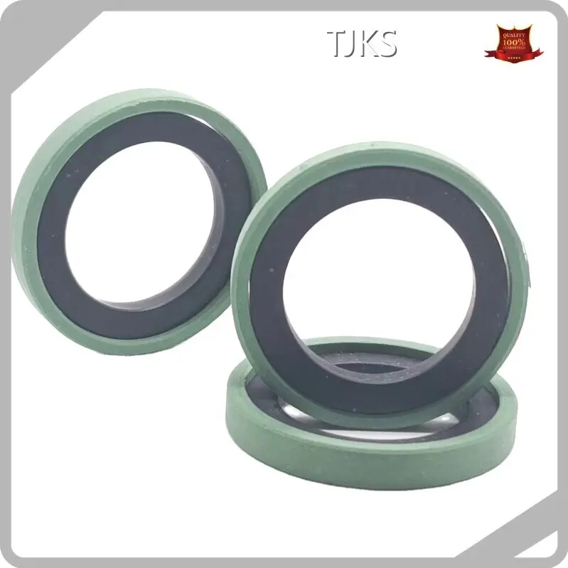 Hyd Cylinder Seals Standard Nonstandard - - TJKS 1