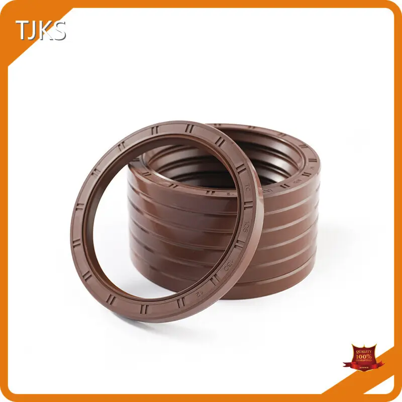 Oil Seal Types Standard Size and Customized Size by TJKS 1