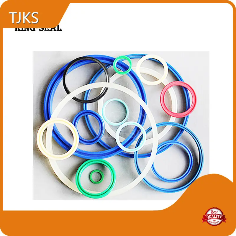 Mechanical Seal for Floating Roof Tanks From 0.1mm to 10M Size - - TJKS 1