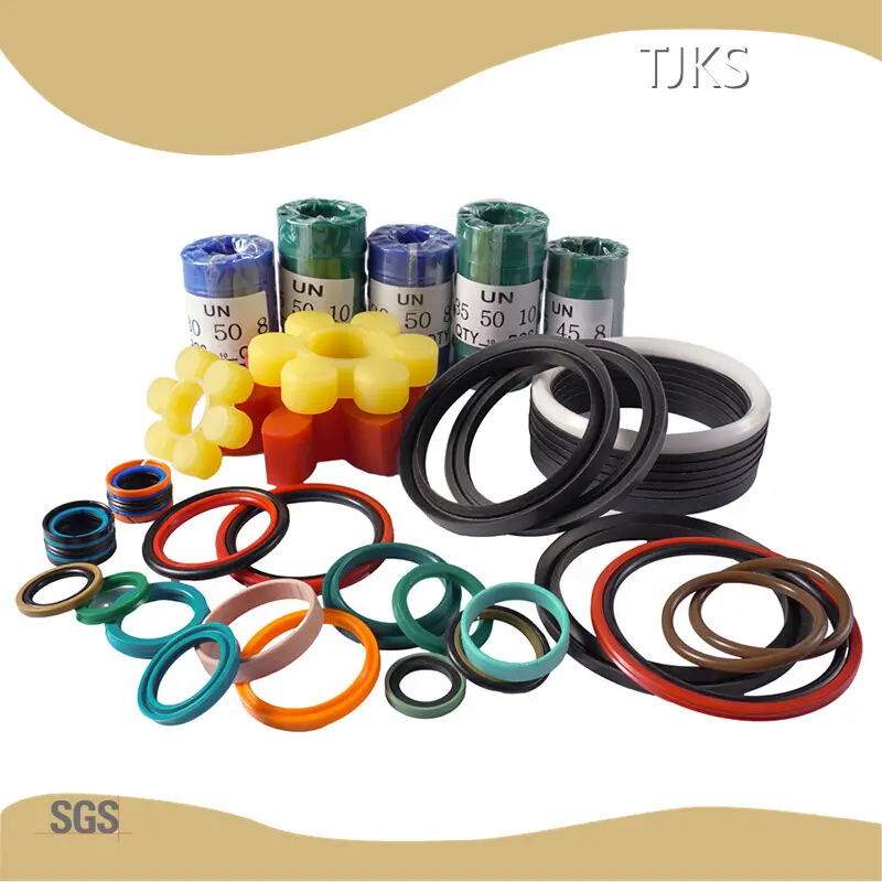 Rod Seal Hydraulic Cylinder by TJKS 1