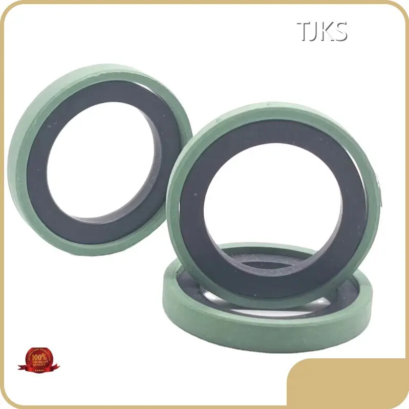Rod Seal Hydraulic Cylinder SPG/SPGA by TJKS 1