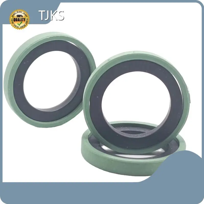 Cylinder Rod Seal PTFE+RUBBER by TJKS 1