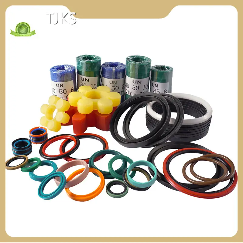Cylinder Rod Seal by TJKS 1