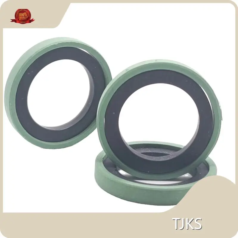 Cylinder Rod Seal Standard Nonstandard by TJKS 1