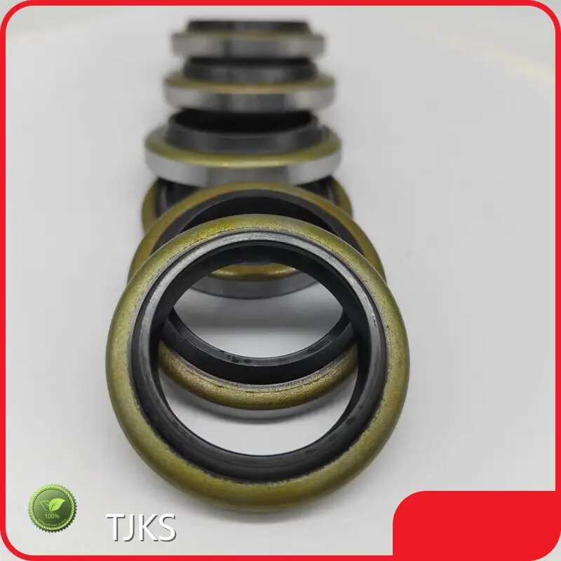 Hydraulic Cylinder Piston Seals 5-7days - - TJKS 1