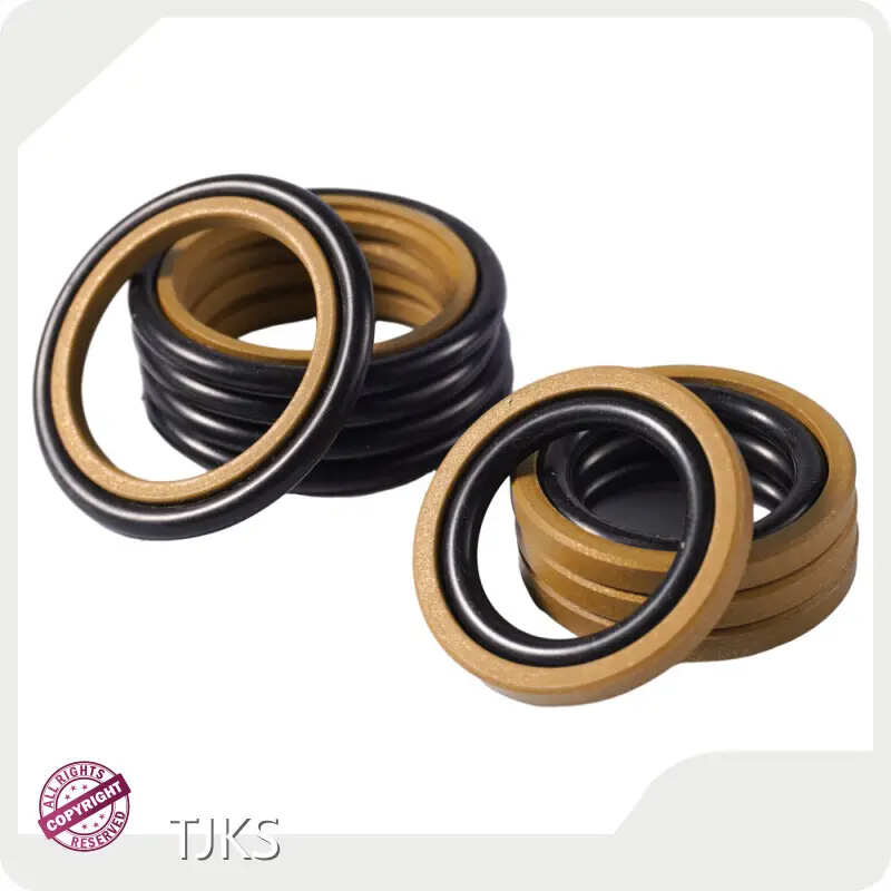 Rod Seal Hydraulic Cylinder 70-80 Wholesale - TJKS 1