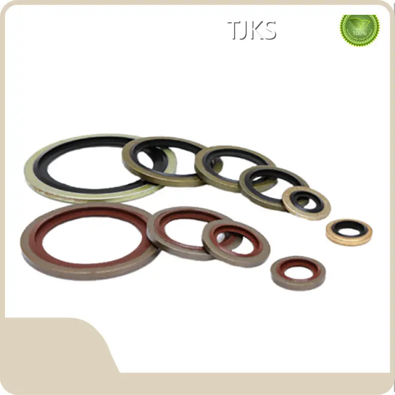 O Ring Sets Standard Size and Customized Size Wholesale - TJKS 1