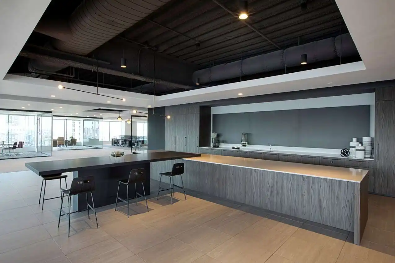 Factory Price Kitchen Cabinets Suppliers for Different Industries 4