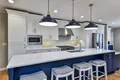 High Endkitchen Furniture Supplier for Apartment Mat Lacquer Shaker 3