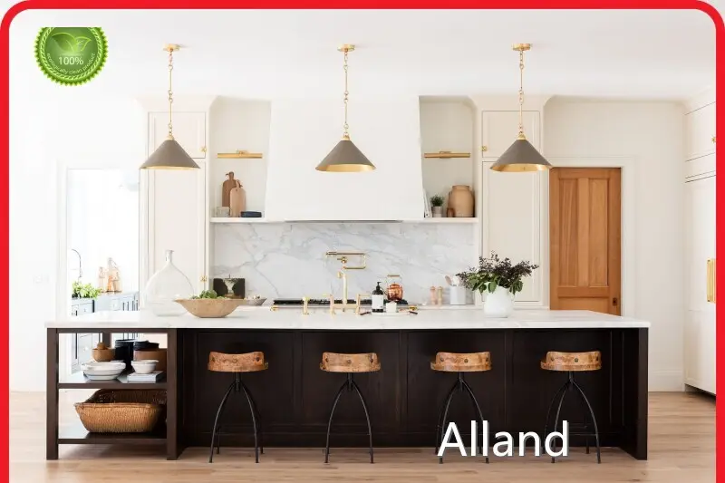 Expurgate American Style Kitchen Cabinets Factory for Different Industries 1