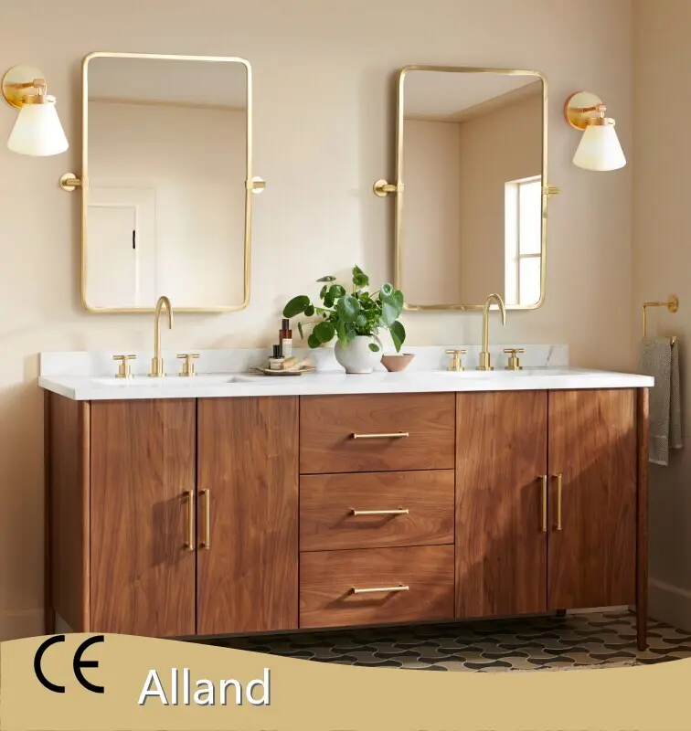 Praise Small Bathroom Vanity Series for Home 1