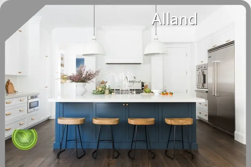 Best Priceshaker Style Cabinets for Kitchen for Different Industries 1