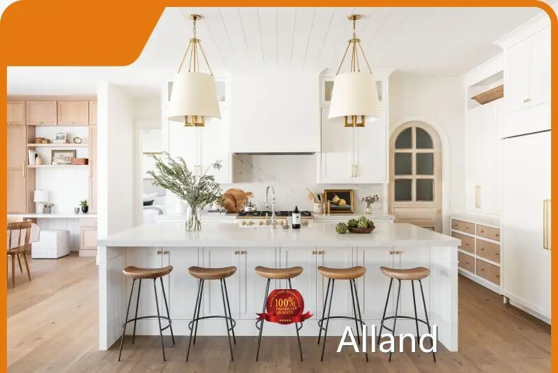 Hot Sale Kitchen Cabinets Suppliers Kitchen Cabinets Suppliers Company 1