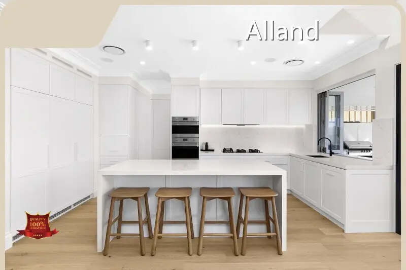 For Business Kitchen Furniture Manufacturer by AllandCabinet 1