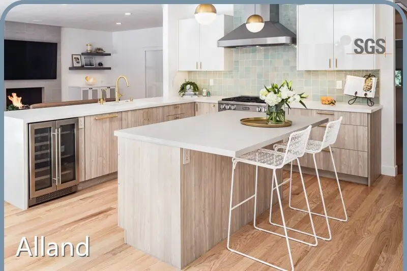 Modern Style Cabinet Vendor Company 1