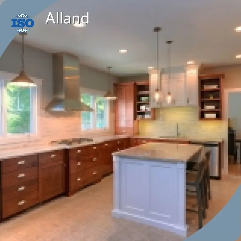 Kitchen Furniture Manufacturer Shaker Door and Slab Drawer Front - for Workplace - AllandCabinet 1