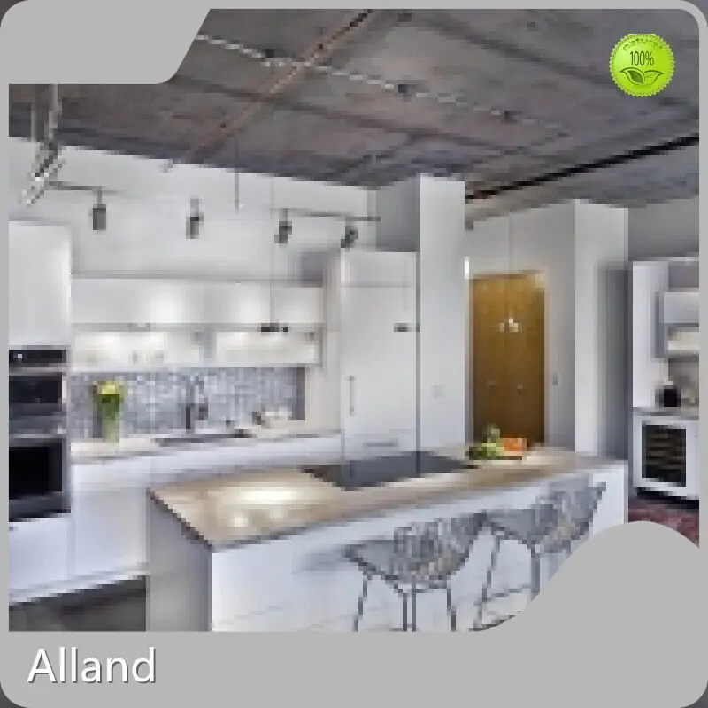 Best Price Matte Lacquer Finish Kitchen Cabinet for House 1