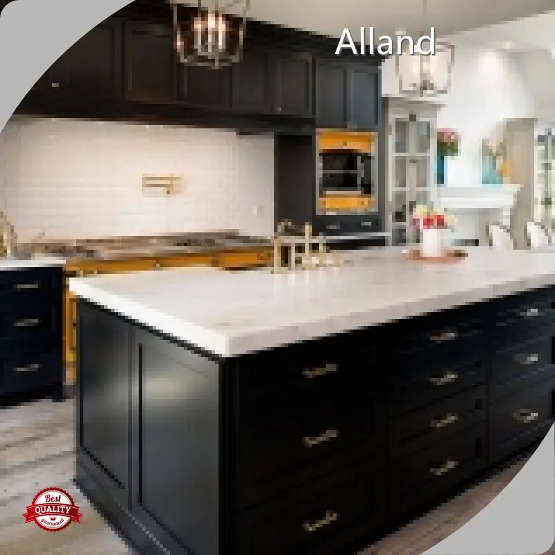 Worldwideamerican Style Kitchen Cabinets for Housecleaning Blum Soft Close Full Overlay 1