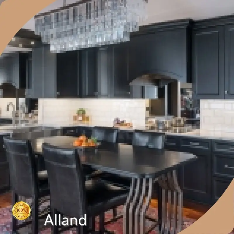 AllandCabinet Kitchen Cabinets Suppliers Same As Door Panelfactory 1
