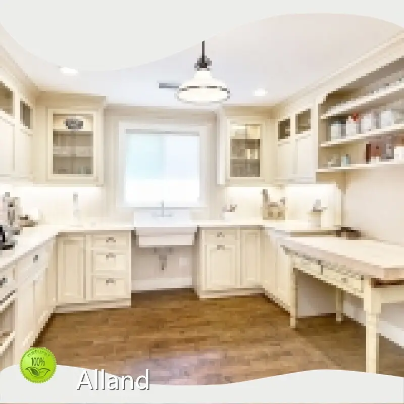 Elaboratebedroom Furniture Manufacturer for Housecleaning 18MM Plywood Rustic Pained 1