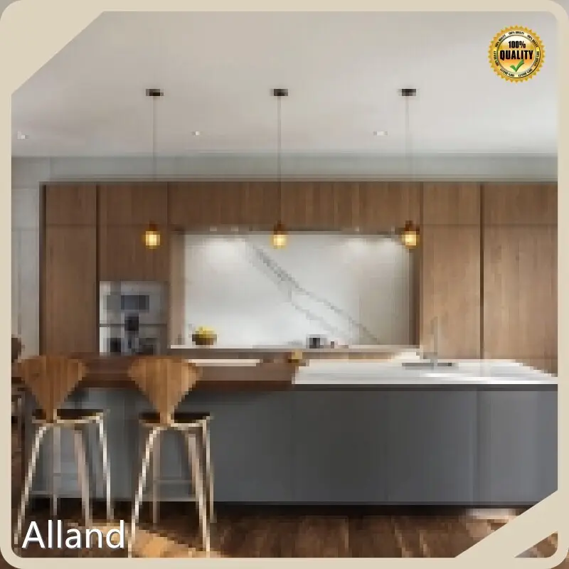 Modern Kitchen Cupboards MDF - for Apartment - AllandCabinet 1