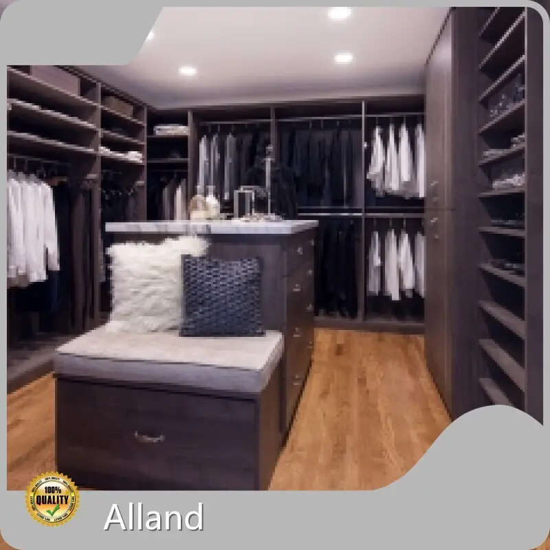 PraiseCloset for House China Modern Design Walk in Wardrobe 1