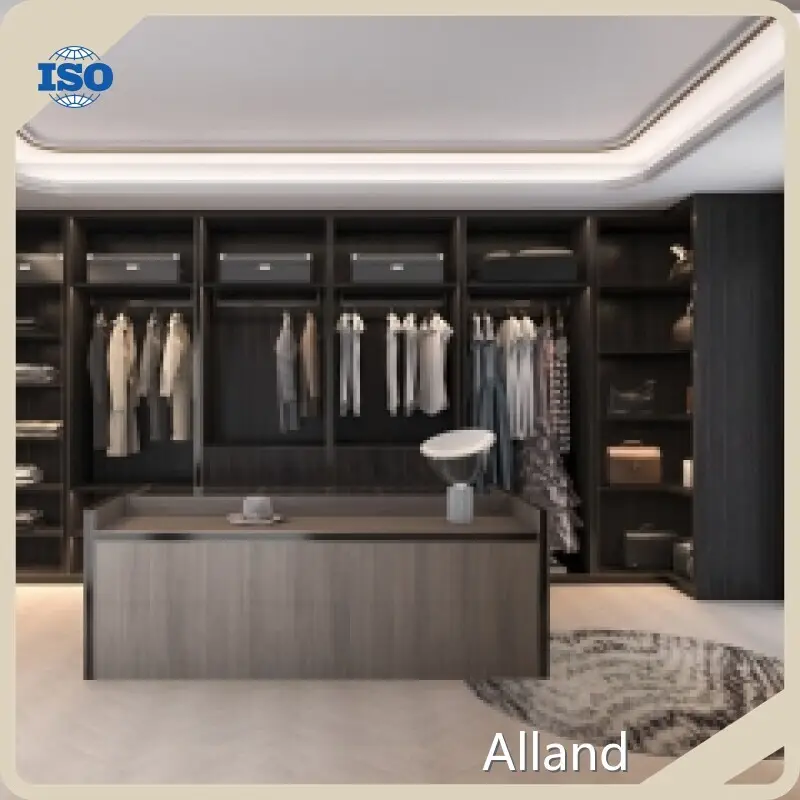 Good Selling Walk in Closet Design for Workplace 1