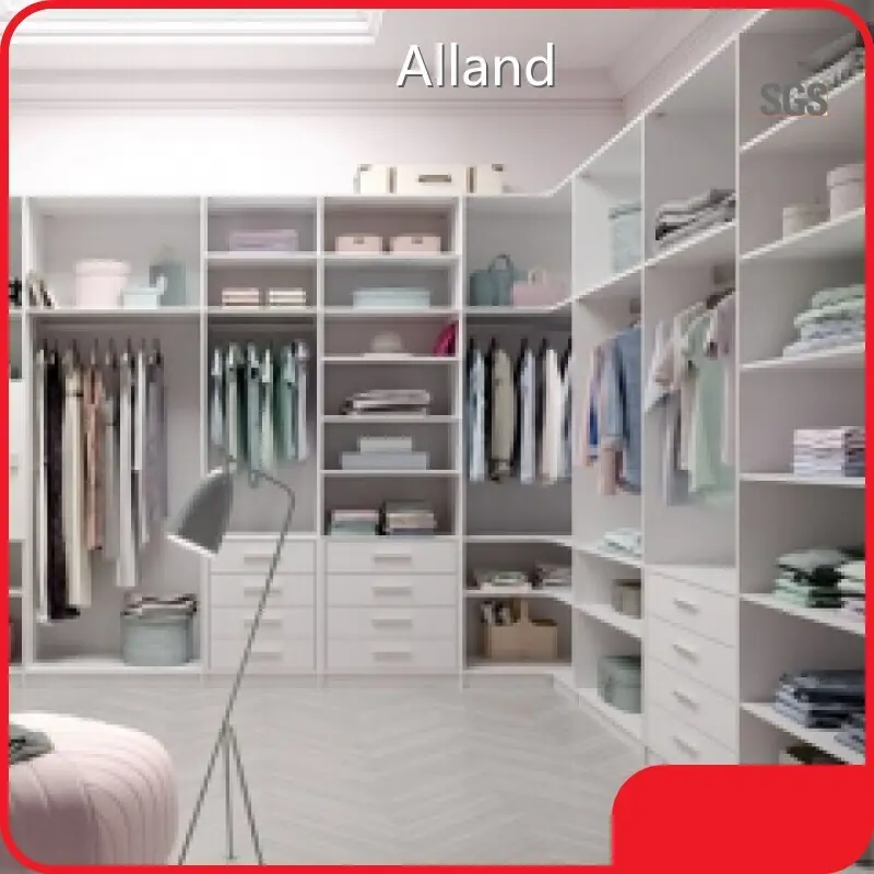 Bepoke Luxury Walk in Closet at Sale 1