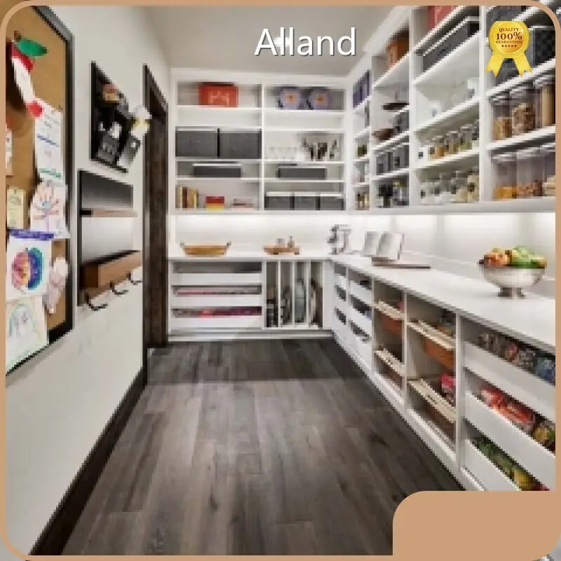 Bepokeshaker Style Cabinets for Kitchen at Sale 1