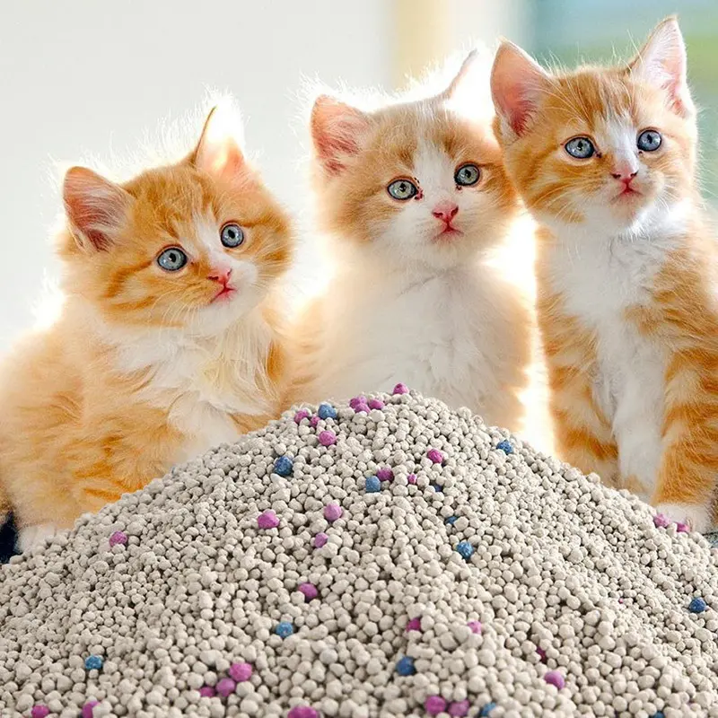 Safe to Use Cat Litter Factory Factory for Cat 5