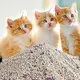 Safe to Use Cat Litter Factory Factory for Cat 5