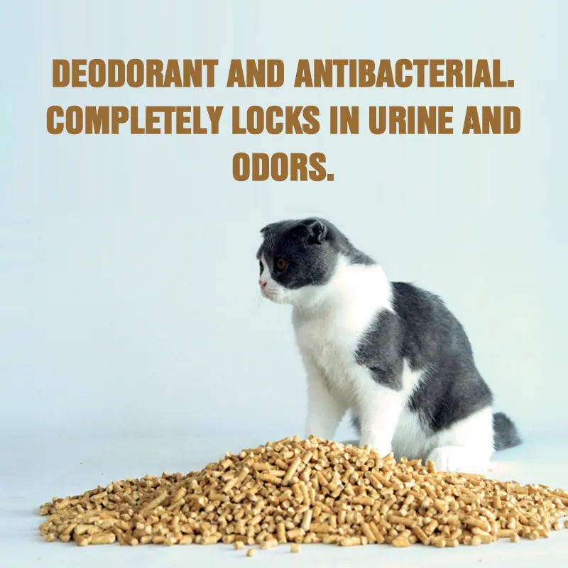 Factory Price Non Tracking Cat Litter Supply for Cat 8