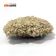 Reliable Crystal Litter for Cat 4