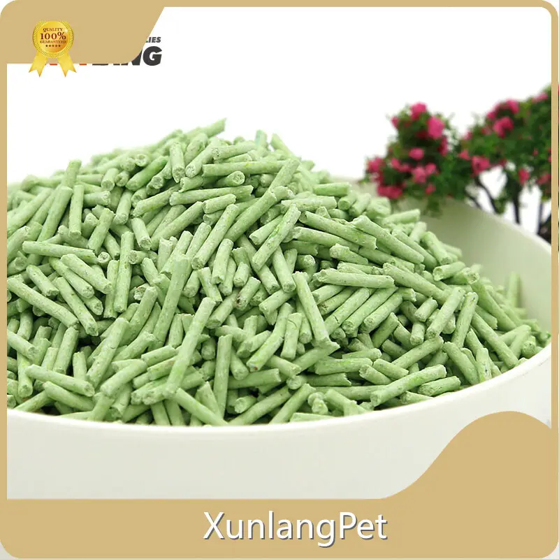 For Cat Silica Cat Litter Yes by XunlangPet 1