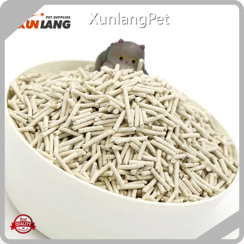 Cost-Effective Bulk Cat Litter with Custom Services for Cat 1