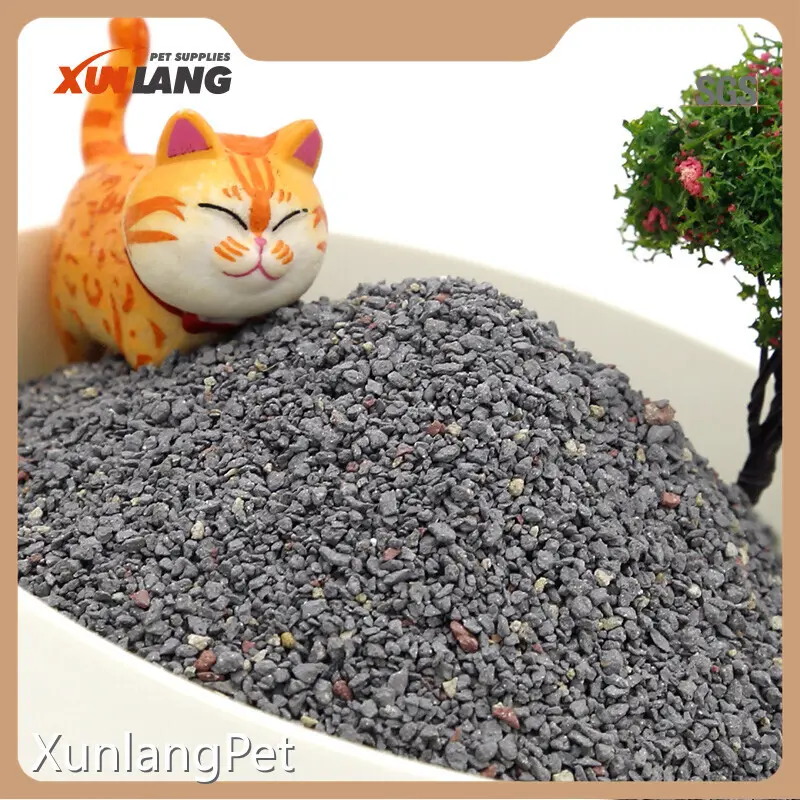 OEM&ODM Cat Sand Manufacturer for Cat 1
