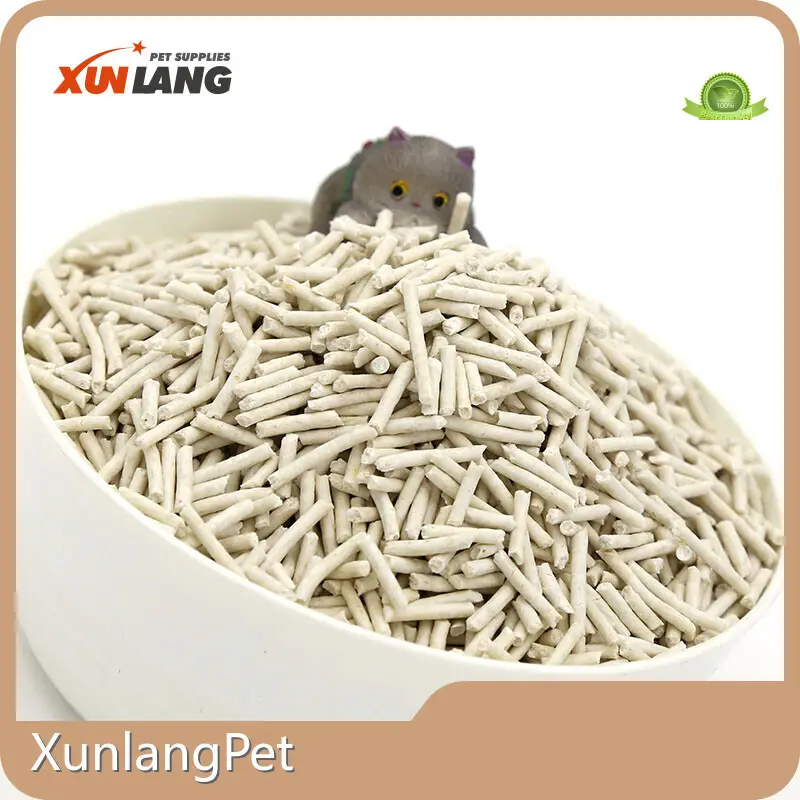 Reliable Soy Cat Litter for Cat 1