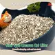 XunlangPet Non Tracking Cat Litter Natural Non Tracking Cat Litterwith Good Price 1