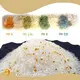 High Qualitycat Litter for Cat XS-2 Yes 1