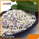Lightweight Cat Litter XM-2 Factory 1