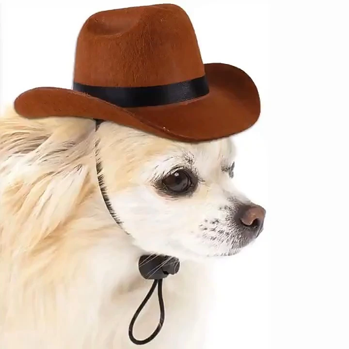 Pet Hat Cosplay Pet Accessories Cat Dog Western Cowboy Hat 1