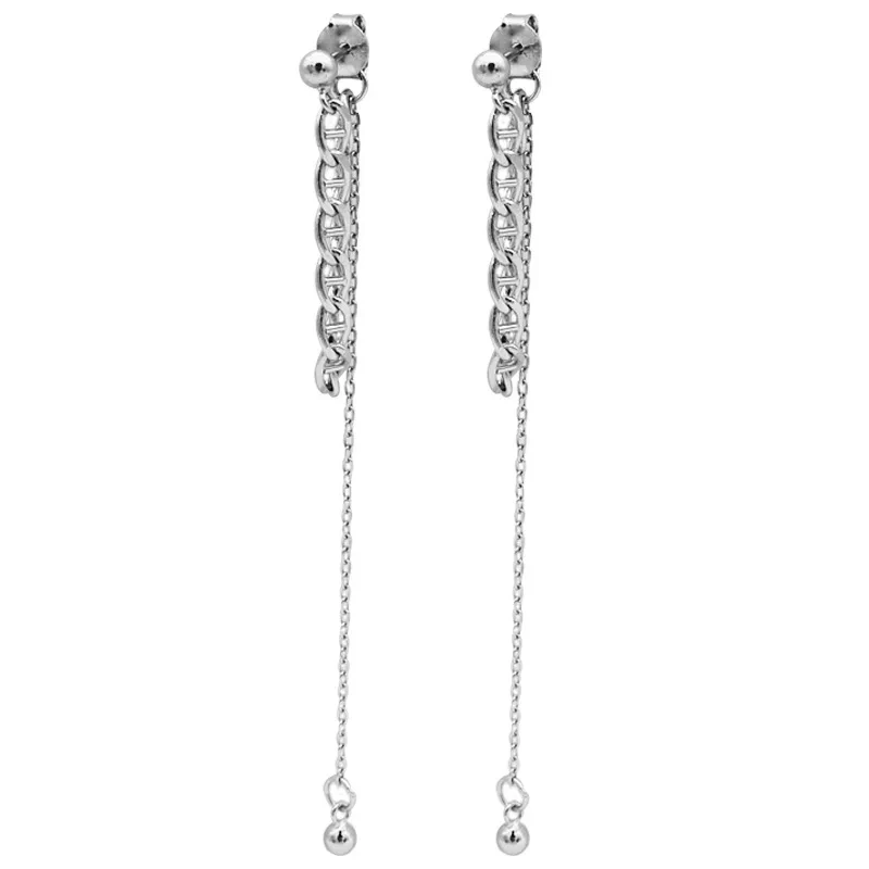 2023 Fashion Silver Earings Women Earrings 925 Silver Studs Long Tassel Drop Earrings 1