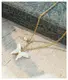 Wholesale Stainless Steel Jewelry SLKS Jewelry Manufacture 3-15 Days 7