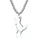 Stainless Steel Chain Necklace Wholesale SLKS Jewelry Brand Micro Insert WU 5