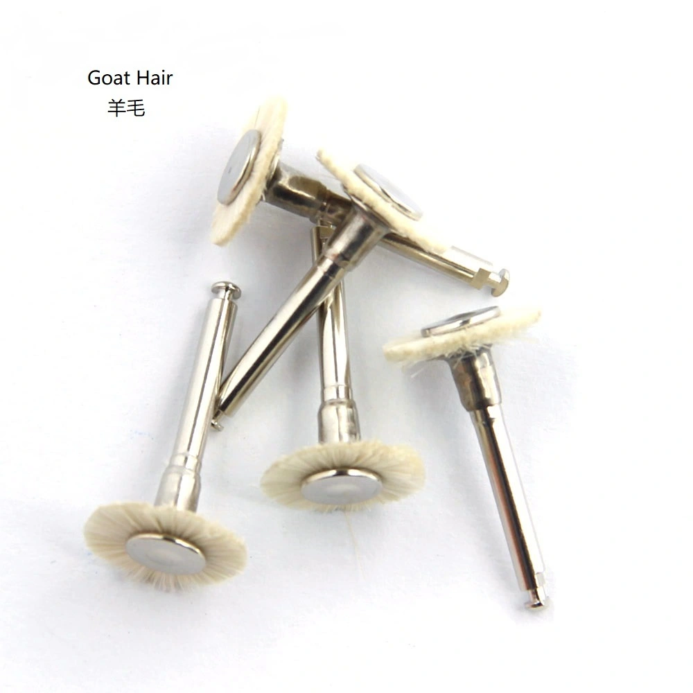 Factorydental Burs Factory for Sale 5