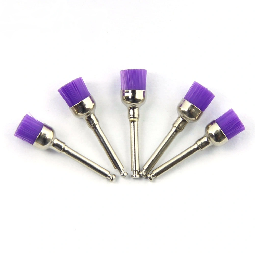 Factorydental Burs Factory for Sale 8